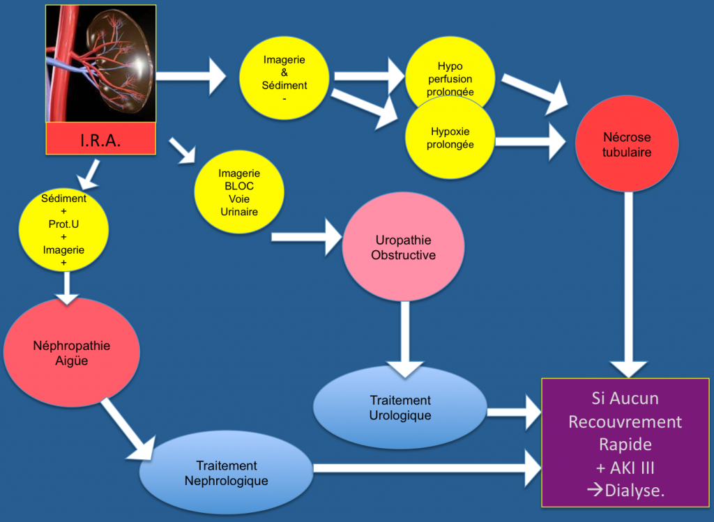 diagnostic général